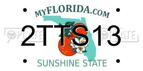 2TTS13 Florida License Plate