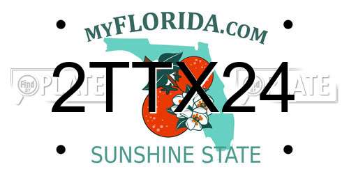 2TTX24 Florida License Plate