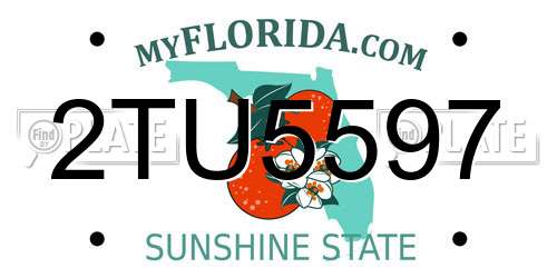 2TU5597 Florida License Plate