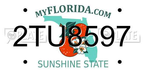 2TU8597 Florida License Plate