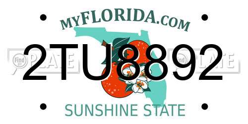 2TU8892 Florida License Plate