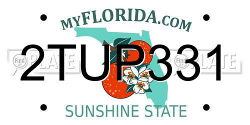 2TUP331 Florida License Plate