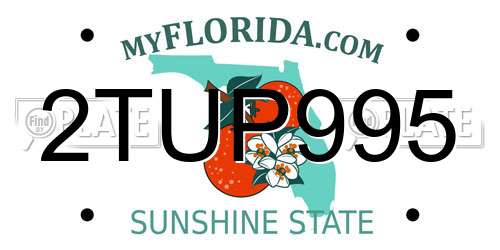 2TUP995 Florida License Plate