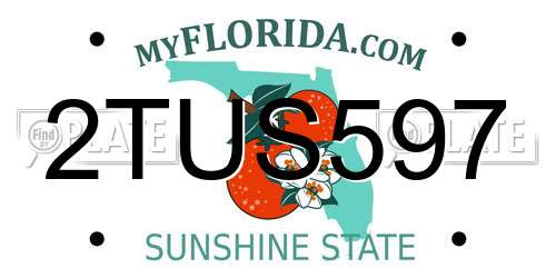 2TUS597 Florida License Plate