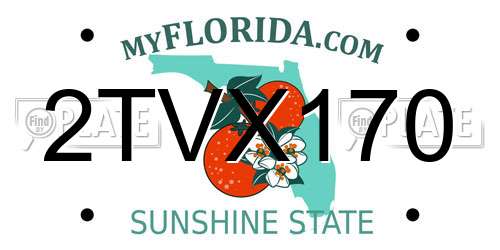 2TVX170 Florida License Plate