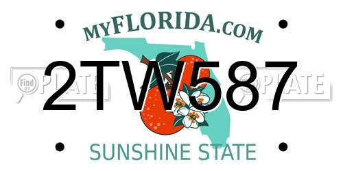 2TW587 Florida License Plate