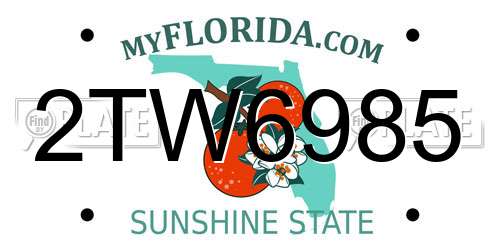 2TW6985 Florida License Plate