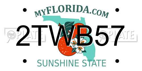 2TWB57 Florida License Plate