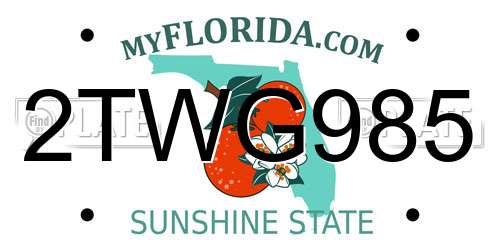 2TWG985 Florida License Plate