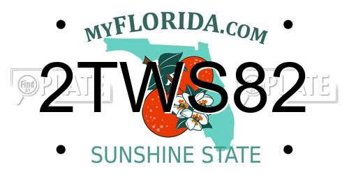 2TWS82 Florida License Plate
