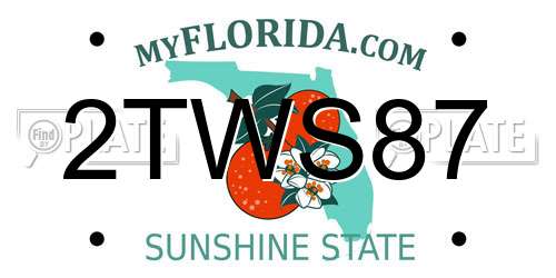 2TWS87 Florida License Plate