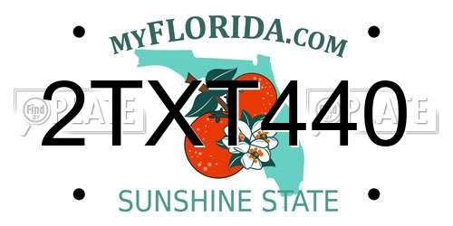 2TXT440 Florida License Plate