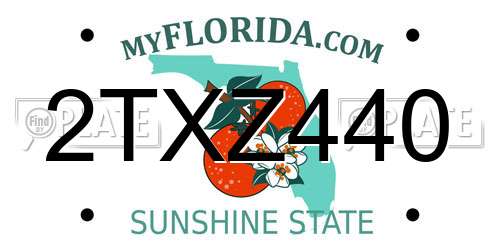 2TXZ440 Florida License Plate