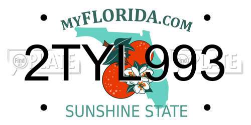 2TYL993 Florida License Plate