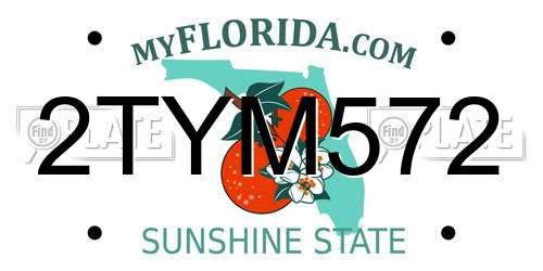 2TYM572 Florida License Plate