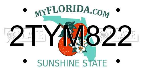 2TYM822 Florida License Plate
