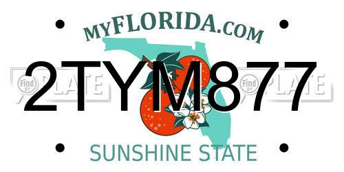 2TYM877 Florida License Plate
