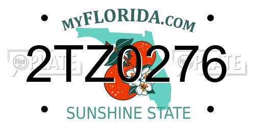 2TZ0276 Florida License Plate