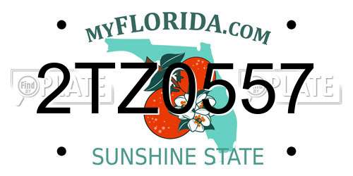 2TZ0557 Florida License Plate