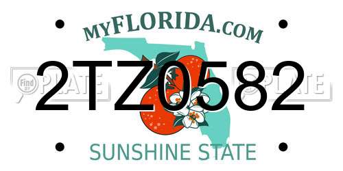 2TZ0582 Florida License Plate