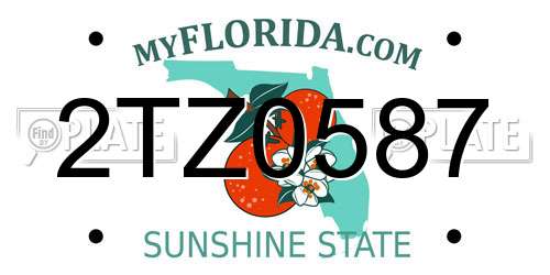 2TZ0587 Florida License Plate
