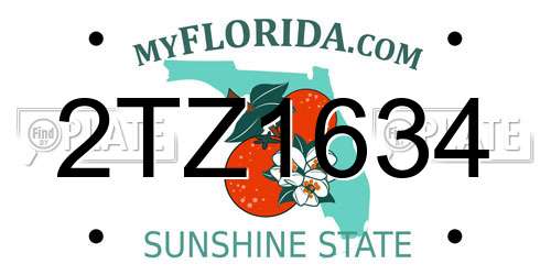 2TZ1634 Florida License Plate
