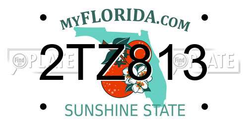 2TZ813 Florida License Plate
