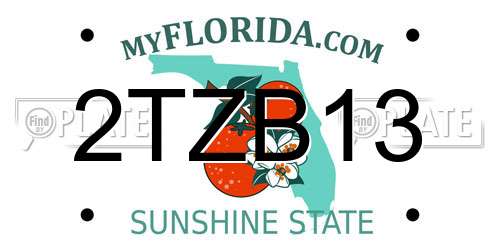 2TZB13 Florida License Plate