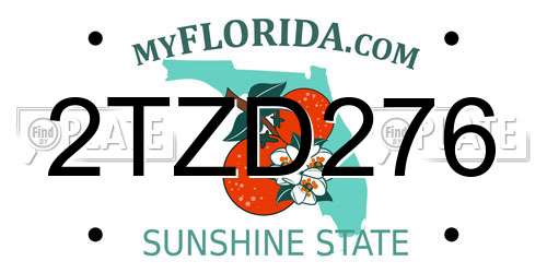2TZD276 Florida License Plate