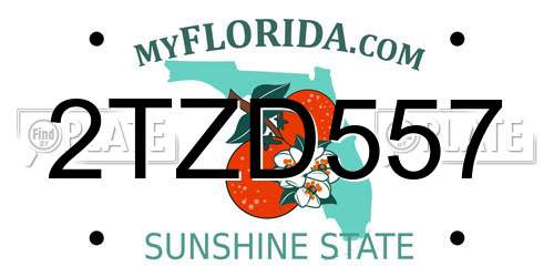 2TZD557 Florida License Plate