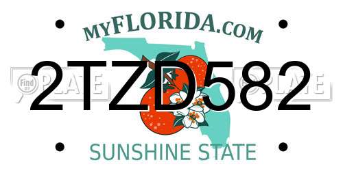2TZD582 Florida License Plate