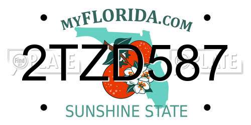 2TZD587 Florida License Plate