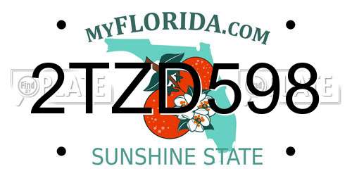 2TZD598 Florida License Plate