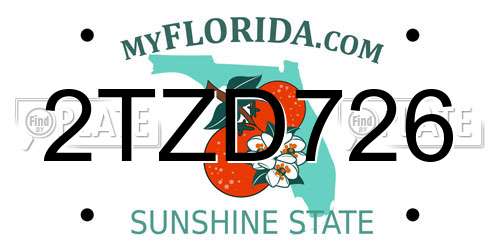 2TZD726 Florida License Plate