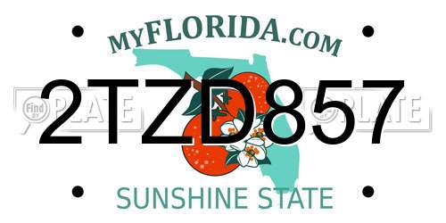 2TZD857 Florida License Plate
