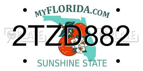 2TZD882 Florida License Plate