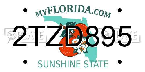 2TZD895 Florida License Plate