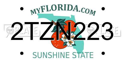 2TZN223 Florida License Plate