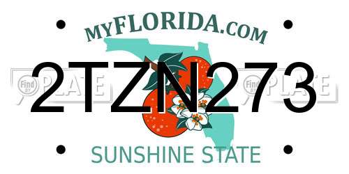 2TZN273 Florida License Plate