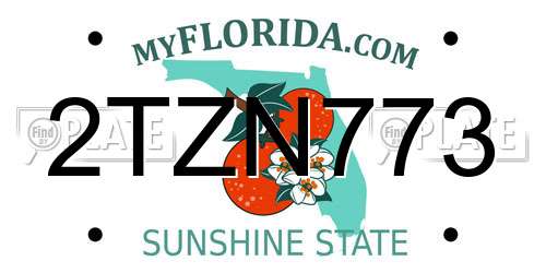 2TZN773 Florida License Plate