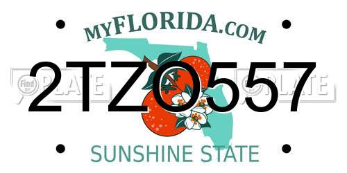 2TZO557 Florida License Plate