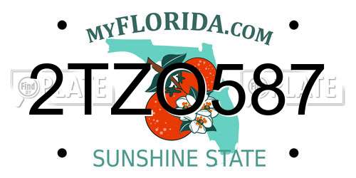 2TZO587 Florida License Plate