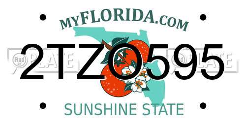 2TZO595 Florida License Plate
