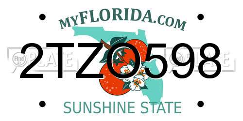 2TZO598 Florida License Plate