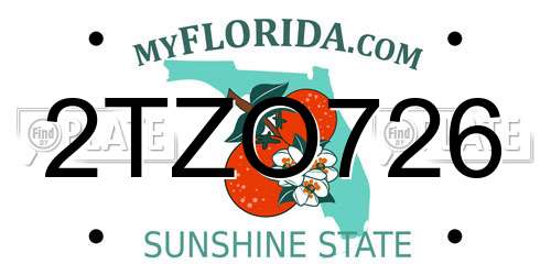 2TZO726 Florida License Plate