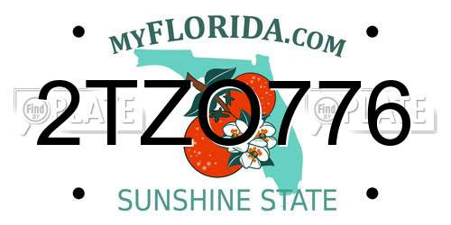 2TZO776 Florida License Plate