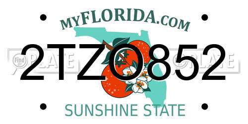 2TZO852 Florida License Plate