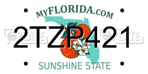 2TZP421 Florida License Plate