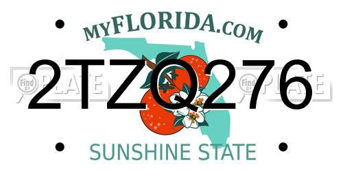 2TZQ276 Florida License Plate