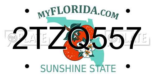 2TZQ557 Florida License Plate